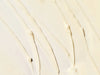 Travel Size Ageless+ Retinol - Repair Crème 0.3% Retinol Complex (14,2g)